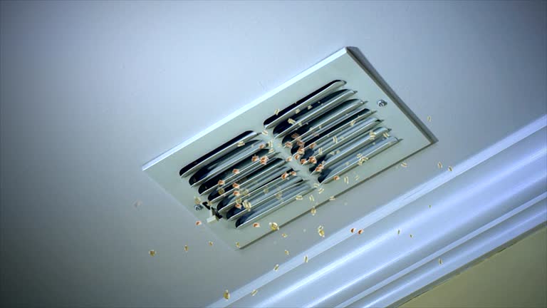 Best Home Air Vent Cleaning  in Winnsboro, SC
