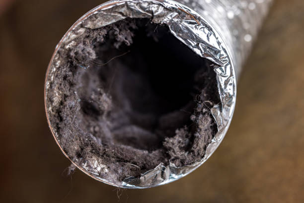 Best Air Duct Cleaning Near Me  in Winnsboro, SC